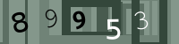Kontrolní kód