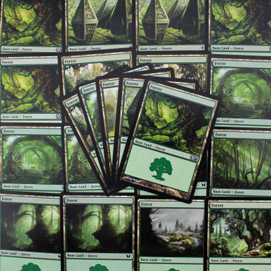 MTG-FORESTS.jpg