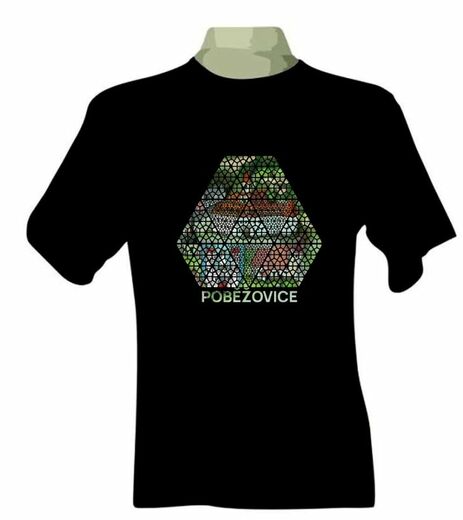 tshi_cerne_NEOSEC-VITRAZ_Pobezovice_univ_basic.jpg